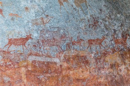 Téléchargez les photos : Bushmen Art rupestre préhistorique de l'âge de pierre dans la grotte Matobo Hills, Zimbabwe - en image libre de droit