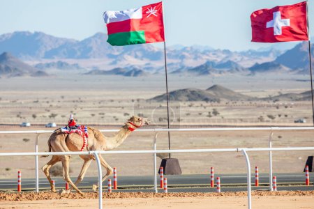 Photo for Camel racing for the king's cup with Oman and Swiss flags in the background, Al Ula, Saudi Arabia - Royalty Free Image