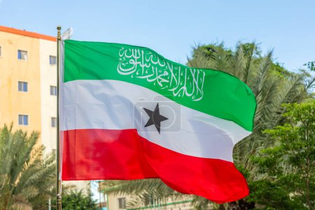 Grün-weiß-rote Nationalflagge Somalilands im Wind, Hergeisa, Somaliland, Somalia