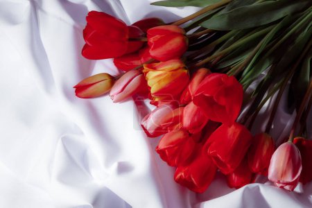 Photo for Natural bouquet of spring tulips. Red tulips on a smart white background. Valentine's day, mother's day, tenderness day, birthday concept. Flowers on the bed linen. Soft selective focus. Spring scene. - Royalty Free Image