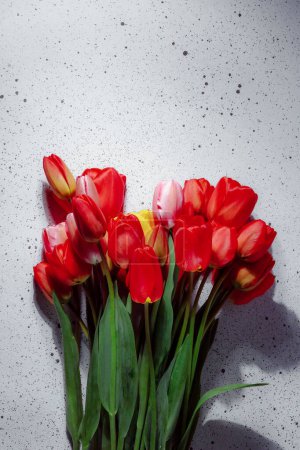 Photo for Natural bouquet of spring tulips. Red tulips on a smart white background. Valentine's day, mother's day, tenderness day, birthday concept. Soft selective focus. Spring scene. Greeting card. - Royalty Free Image