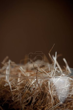 Photo for Straw edges: the psychology of the fullness of the inner world. Hidden emotions: the play of light and shadow. Confused thoughts: mental harmony. Flickering emotions: psychology in motion. - Royalty Free Image