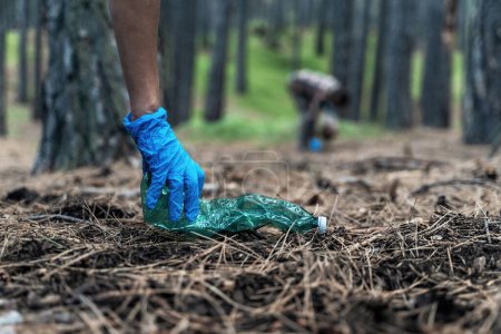 Photo for Close-up captures a gloved hand picking up a discarded plastic bottle. In the backdrop, under the canopy of trees, another individual bends down to gather more litter, highlighting environmental care. - Royalty Free Image
