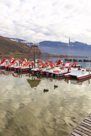 Foto de Kaltern, Tirol del Sur, Italia - 14 de noviembre de 2022 Coots euroasiáticos (Fulica atra) vistos en otoño en el lago Caldaro, un lago de baño natural con alquiler de barcas a pedales - Imagen libre de derechos