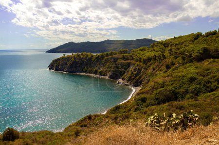 High angle view over Acquarilli Beach, a dark sand beach for nudist situated in the gulf of stella, Elba island, Italy. 
