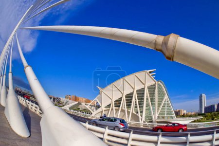 Téléchargez les photos : Assut  Bridge, Prncipe Felipe Science Museum, City of Arts and Sciences, Valencia, Comunidad Valenciana, Spain, Europe - en image libre de droit