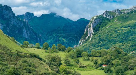 Photo for Mountain Range, Picos de Europa National Park, Asturias, Spain, Europe - Royalty Free Image
