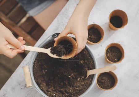 Foto de Hands of a caucasian girl pour black soil with a wooden spoon into a cardboard glass from a zinc bucket at a light cement table outdoors in the backyard of the house, flat lay close-up. The concept of gardening, sowing seeds, seedlings, home, crafts, - Imagen libre de derechos