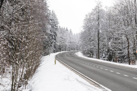 Foto de Beautiful view of an asphalt road with a turn and snow-covered trees on the sides in a forest reserve in Belgium, close-up side view. The concept of beautiful winter backgrounds, wallpapers. - Imagen libre de derechos