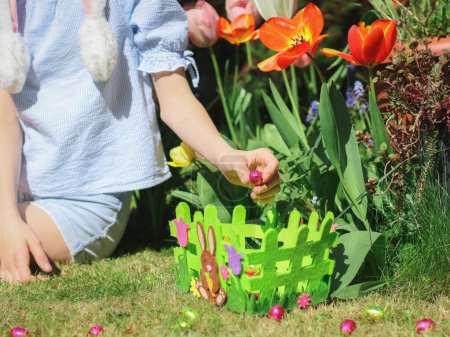 Foto de Hands caucasian teenage girl in a blouse with hanging ears bunny headband lays a chocolate easter egg in a bright pink shiny wrapper in a green easter felt basket on the lawn in the courtyard of the house, close-up side view. The concept of tradition - Imagen libre de derechos