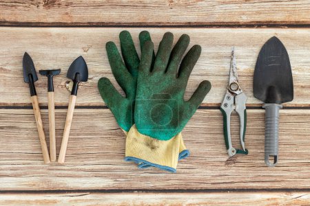 Photo for Dirty gardening gloves and gardening hand tools lie on a natural wooden table,flat lay close-up.Gardening concept. - Royalty Free Image