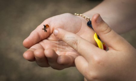 One Caucasian unrecognizable girl holds a flying ladybug in her palms, pointing at it with her finger on a summer day in a public park, side view close-up.