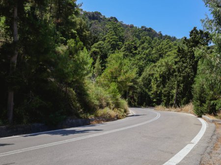 Beautiful panoramic view of a winding asphalt road in a coniferous forest leading down from the Filerimos mountain in Greece on a sunny summer day, close-up side view.