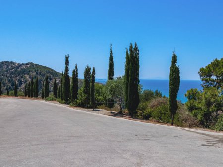 Beautiful panoramic view of a straight asphalt road in a coniferous forest on Mount Filerimos overlooking the Aegean Sea in Greece on a sunny summer day, side view close-up.