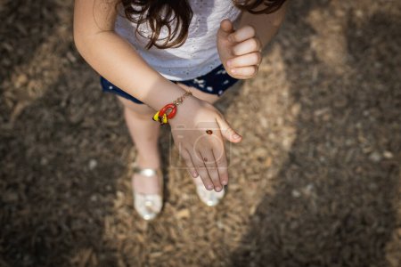 Ein nicht wiedererkennbares kaukasisches Mädchen hält an einem Sommertag in einem öffentlichen Park einen kriechenden Marienkäfer auf der Hand, Nahaufnahme von oben.