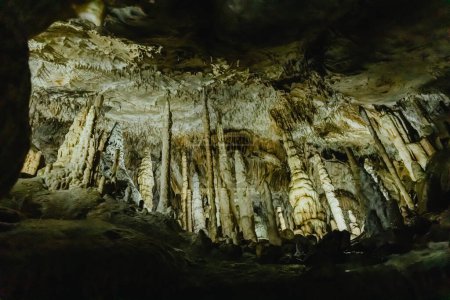 Schöne Seitenansicht einer Vielzahl majestätischer, komplizierter hängender Stalaktiten von weiß-gelber Farbe in einer dunklen unterirdischen Höhle in De Haan, Belgien, von unten nach oben betrachtet. Unterirdisches Königreichskonzept.
