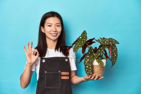 Photo for Young Asian gardener holding plant, studio backdrop, cheerful and confident showing ok gesture. - Royalty Free Image