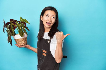 Foto de Joven jardinero asiático sosteniendo planta, estudio telón de fondo, puntos con el dedo pulgar de distancia, riendo y sin preocupaciones. - Imagen libre de derechos