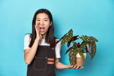 Foto de Joven jardinero asiático sosteniendo planta, estudio telón de fondo, gritando y sosteniendo la palma cerca de la boca abierta. - Imagen libre de derechos