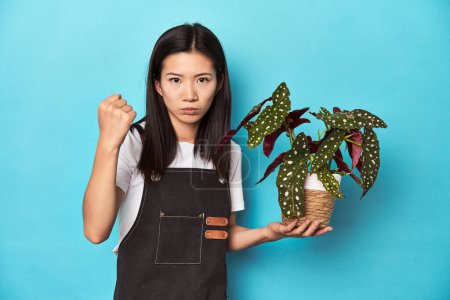 Téléchargez les photos : Jeune jardinier asiatique tenant l'usine, toile de fond de studio, montrant poing à caméra, expression faciale agressive. - en image libre de droit