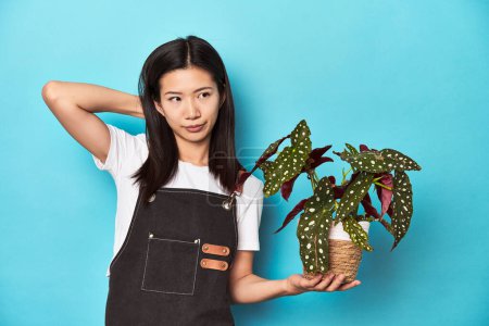 Photo for Young Asian gardener holding plant, studio backdrop, touching back of head, thinking and making a choice. - Royalty Free Image