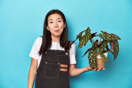 Téléchargez les photos : Jeune jardinier asiatique tenant plante, toile de fond studio, haussements d'épaules et yeux ouverts confus. - en image libre de droit