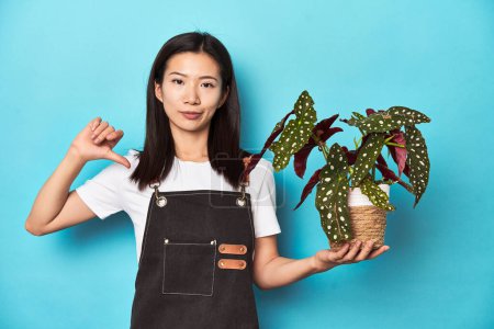 Photo for Young Asian gardener holding plant, studio backdrop, feels proud and self confident, example to follow. - Royalty Free Image