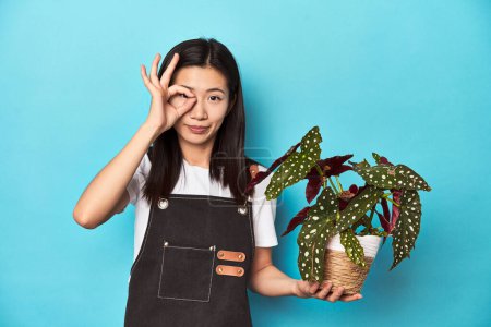 Foto de Joven jardinero asiático sosteniendo planta, estudio telón de fondo, emocionado mantener el gesto bien en el ojo. - Imagen libre de derechos