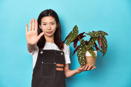 Foto de Joven jardinero asiático que sostiene la planta, fondo del estudio, de pie con la mano extendida que muestra señal de stop, que le impide. - Imagen libre de derechos