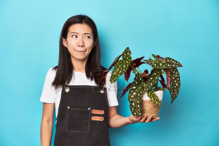 Photo for Young Asian gardener holding plant, studio backdrop, confused, feels doubtful and unsure. - Royalty Free Image