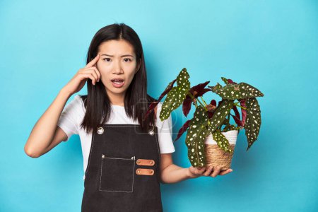 Photo for Young Asian gardener holding plant, studio backdrop, showing a disappointment gesture with forefinger. - Royalty Free Image