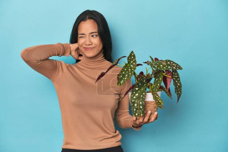 Téléchargez les photos : Filipina tenant une plante sur le studio bleu touchant l'arrière de la tête, pensant et faisant un choix. - en image libre de droit