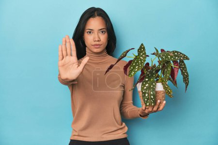 Foto de Filipina sosteniendo una planta en el estudio azul de pie con la mano extendida mostrando señal de stop, lo que le impide. - Imagen libre de derechos