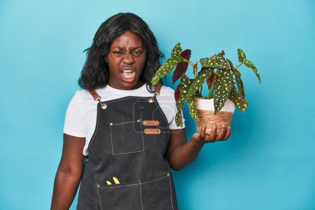 Téléchargez les photos : Curvy jardinier tenant plante en studio criant très en colère et agressif. - en image libre de droit