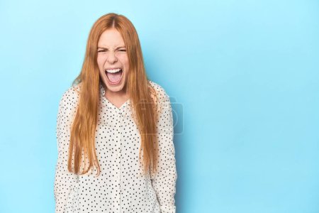 Photo for Redhead young woman on blue background shouting very angry, rage concept, frustrated. - Royalty Free Image