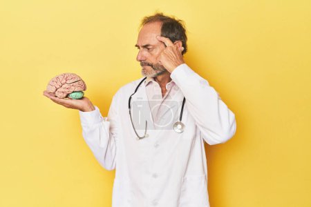 Foto de Doctor sosteniendo un modelo de cerebro en el estudio - Imagen libre de derechos