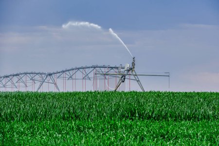 Téléchargez les photos : Système d'irrigation pivot central dans un champ de maïs - en image libre de droit