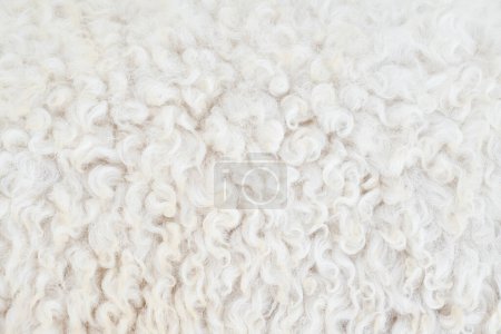Foto de Fibra térmica de lana de piel textura de fondo de oveja con tono de color brillante. - Imagen libre de derechos