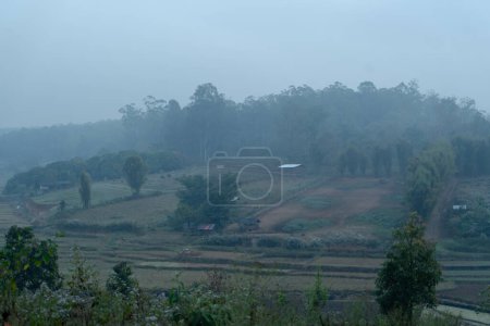 Téléchargez les photos : Le brouillard de P.M25 sur la colline. - en image libre de droit