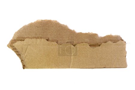 Photo for Open empty brown cardboard box isolated on white background. - Royalty Free Image