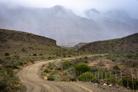 Téléchargez les photos : Route de gravier le long des pentes des montagnes Swartberg par temps couvert, sauvage et venteux. Près de Klaarstroom et De Rust. Western Cape. Afrique du Sud - en image libre de droit