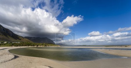Photo for Protea flower lying on the  Kleinrivier (or Klein River) Estuary shore at Grotto Beach with clouds hanging over the Kleinrivier Mountains. Hermanus, Whale Coast, Overberg, Western Cape, South Africa. - Royalty Free Image