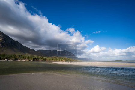 Protea flower lying on the  Kleinrivier (or Klein River) Estuary shore at Grotto Beach with clouds hanging over the Kleinrivier Mountains. Hermanus, Whale Coast, Overberg, Western Cape, South Africa.