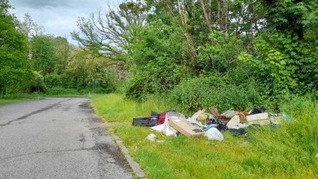 Illegal dumping on the street - rudeness and delinquency