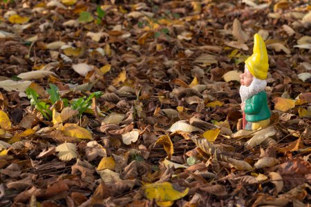 Photo for Gnome with yellow pointed hat in Autumn forest. High quality photo - Royalty Free Image
