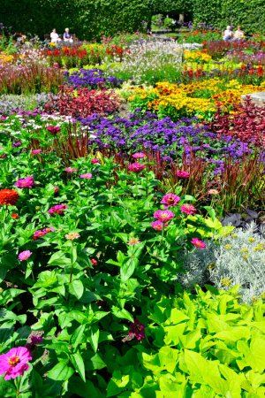 Beautiful and colorful annual flower garden, Grugapark Germany. High quality photo