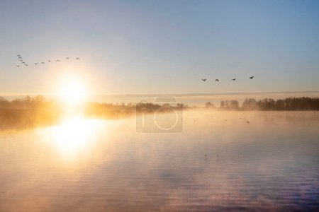 Belle matinée d'hiver, lever de soleil sur le lac des Pays-Bas. Photo de haute qualité