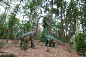 Statue of realistic Diplodocus dinosaur in a wild forest. High quality photo Poster #634122470