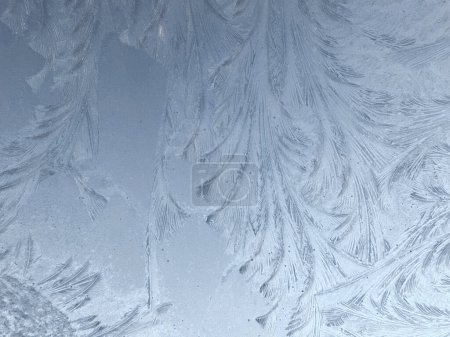 Winter frost patterns on glass. Ice crystals or cold winter background. High quality photo