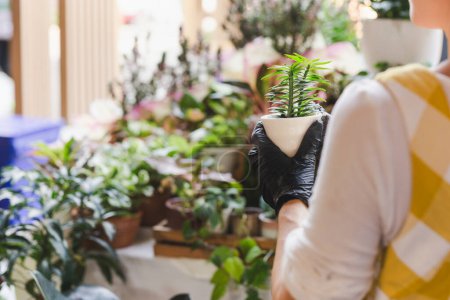 Téléchargez les photos : Plan recadré d'une femme méconnaissable tenant une plante à fleurs en pot dans un magasin de jardin - en image libre de droit